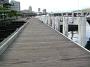 sydney-feb-b 089